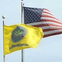 Image of waving flags