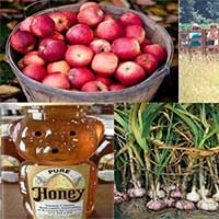 Harvest, Honey and Garlic Festival