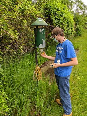 mosquito trap