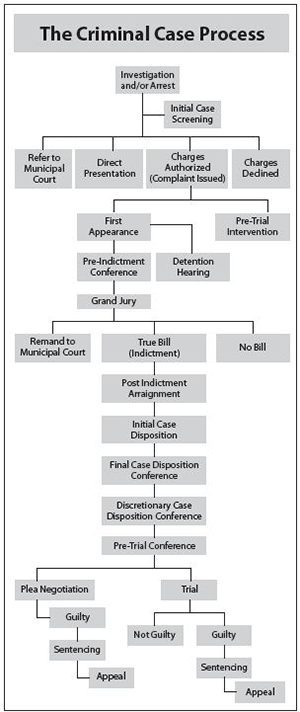 The Criminal Justice Process