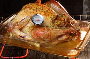 cooked turkey