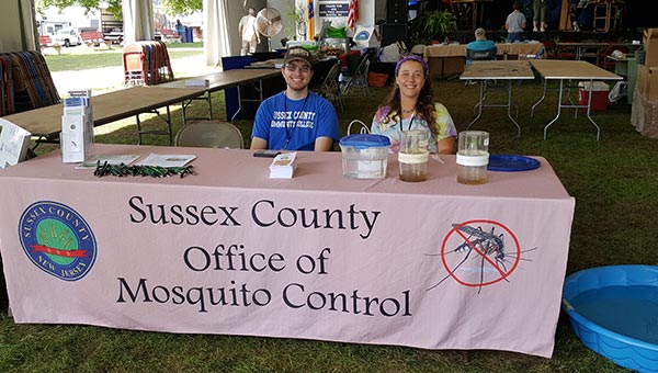 Mosquito Slide Show