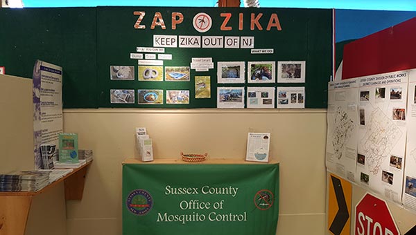 Mosquito Slide Show