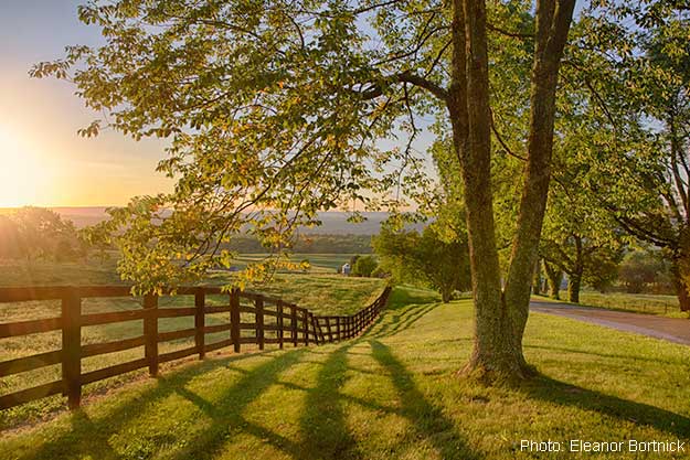 Sussex County Sunset