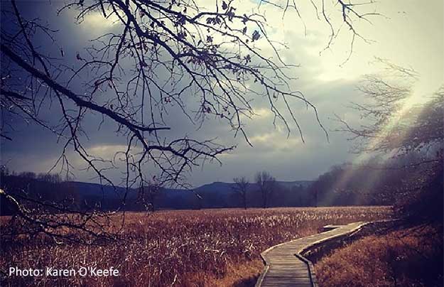 Appalachian Trail Boardwalk