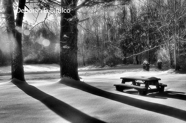 Picnic at Kittatinny Valley St. Park