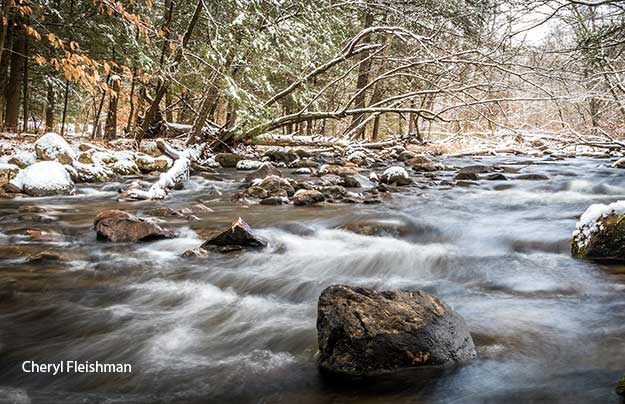 Frosted Flatbrook