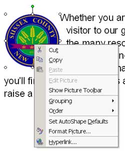 Sample image demonstrates text formatting in Microsoft Word