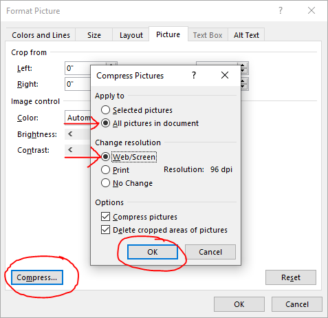 Sample image demonstrates image compression in Microsoft Word